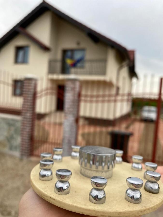 דירות Târgu Jiu Casa Brancusiana מראה חיצוני תמונה