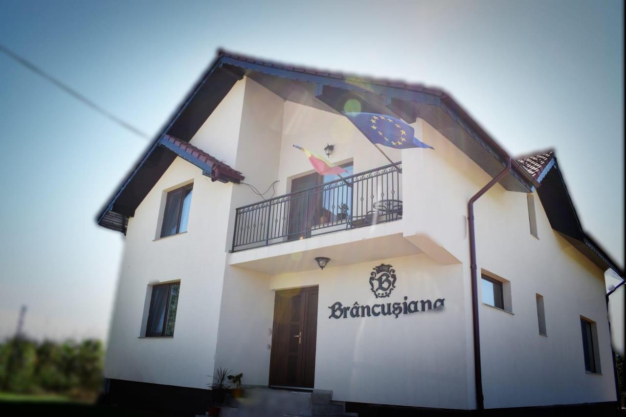 דירות Târgu Jiu Casa Brancusiana מראה חיצוני תמונה